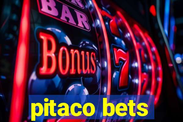 pitaco bets